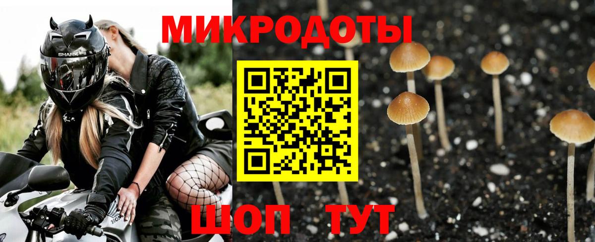 Ахтубинск  Псилоцибиновые грибы GOLDEN TEACHER  Вход с VPN 